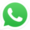 WhatsApp Focca: 081 98161.7884